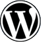 Vorsicht beim automatischen Update auf WP-Version 2.8